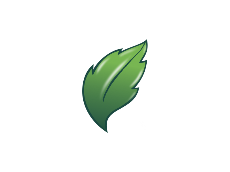 MehreGiah Logo Design Leaf Sketch