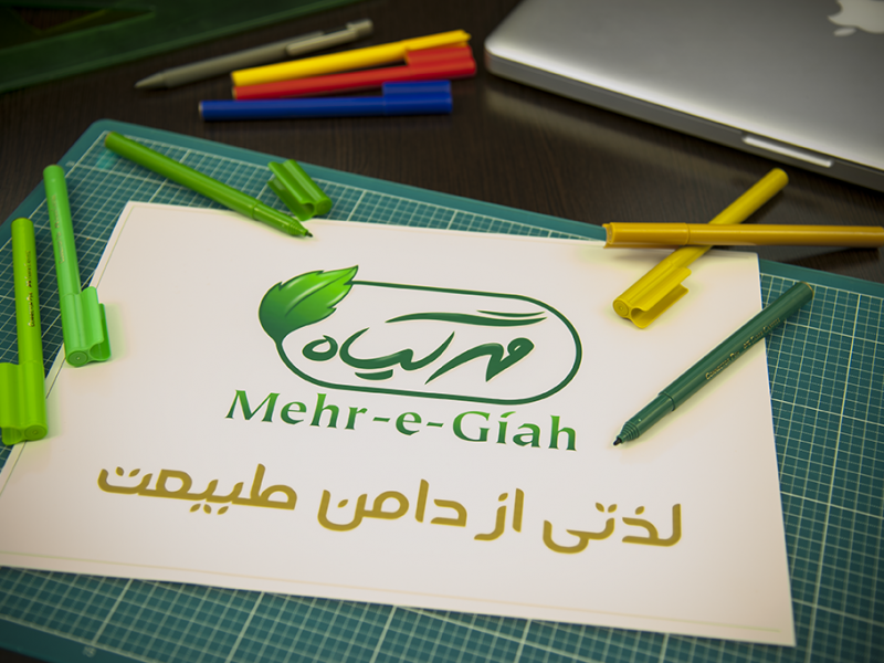 MehreGiah Logo Design Sketch